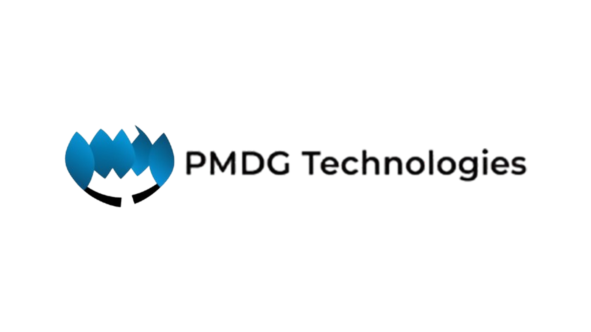 pmdg logo